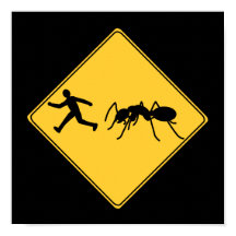 Road Sign- Giant Ant