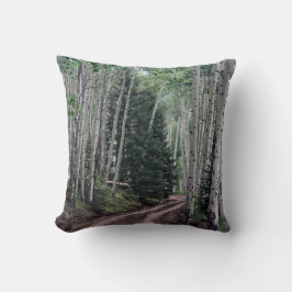 Road Through The Birch Kudde