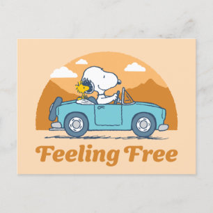Road Trippin   Jordnötter som känner sig fria Vykort
