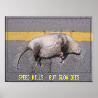 Roadkill Motivational Poster