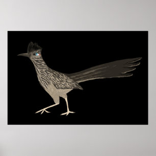 Roadrunner Färgpenna teckning på svart Poster