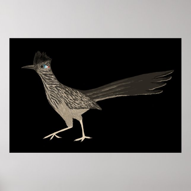 Roadrunner Färgpenna teckning på svart Poster (Framsidan)
