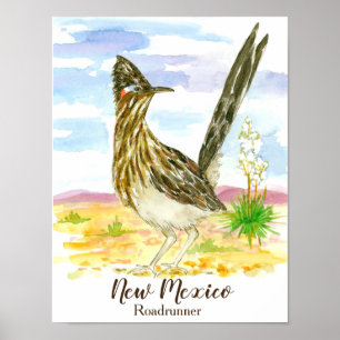 Roadrunner New mexico State Bird Poster