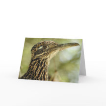 Roadrunner Notecard