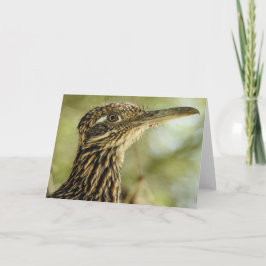 Roadrunner Notecard Kort