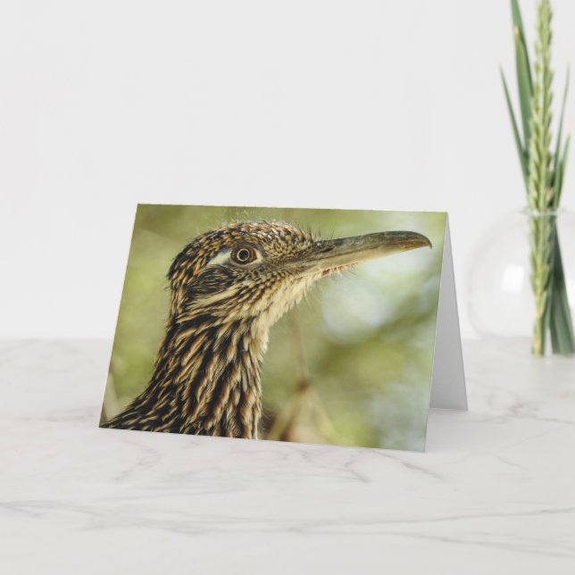 Roadrunner Notecard Kort (Framsida)
