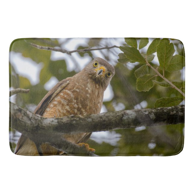 Roadside Hawk Belize Bird Photography Badrumsmatta (Framsidan)