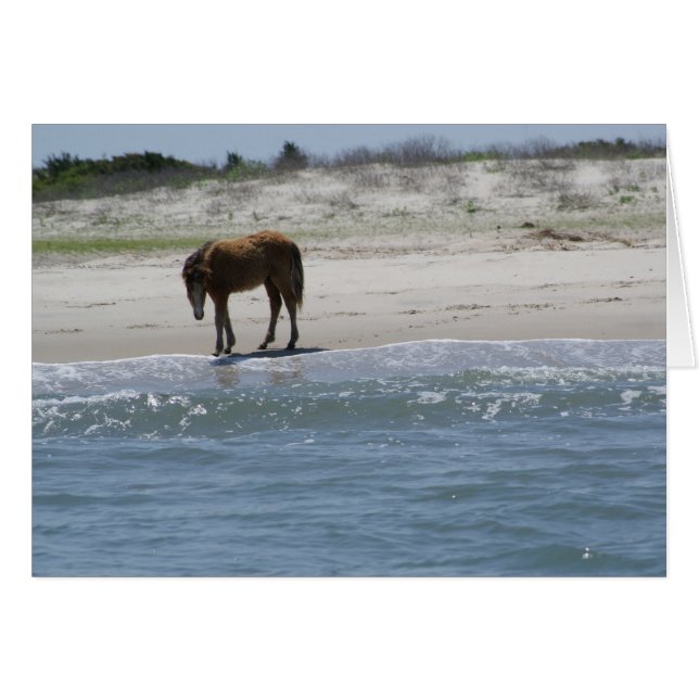 Roam Free OBS Kort (Framsidan Horizontal)