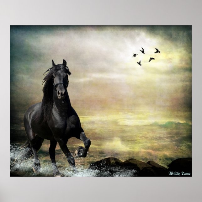 Roam the Tide Poster (Framsidan)