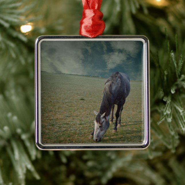 Roan Horse Grasing in Paddock Julgransprydnad Metall (Träd)