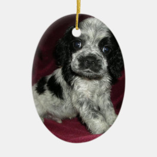 roan valp för amerikancockerspanielspaniel, Apoll Julgransprydnad Keramik
