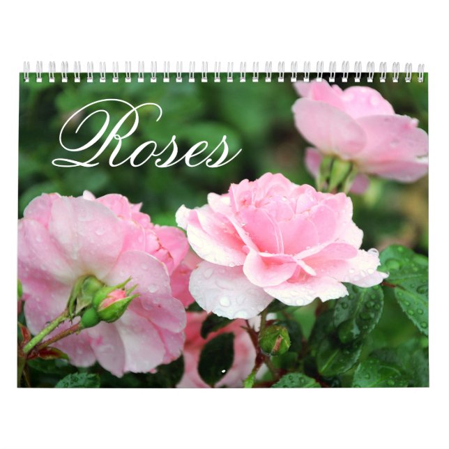 Roanpassningsbarkalender Kalender (Omslag)