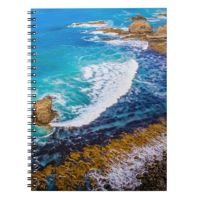 Roaring Bay vid Nugget Point Anteckningsbok (Framsidan)