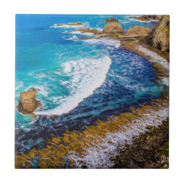 Roaring Bay vid Nugget Point Kakelplatta