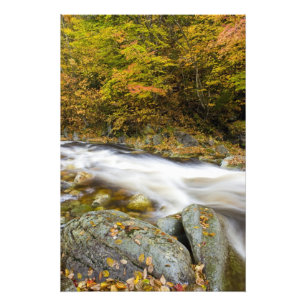 Roaring Brook på hösten i Vermonts Green Fototryck