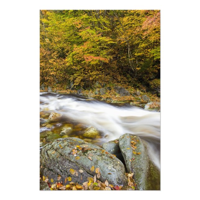 Roaring Brook på hösten i Vermonts Green Fototryck (Framsidan)