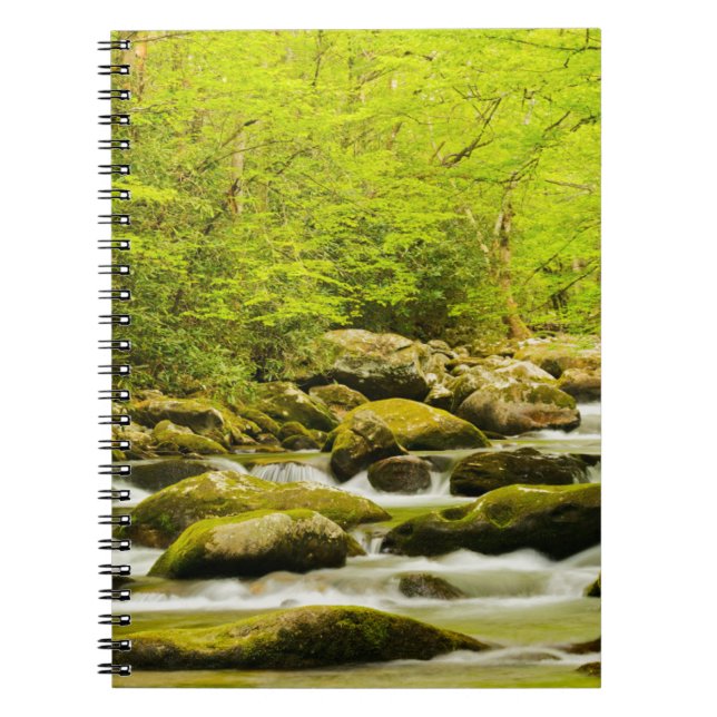 Roaring Fork om våren Anteckningsbok (Framsidan)