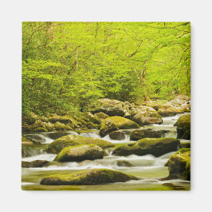 Roaring Fork om våren Magnet
