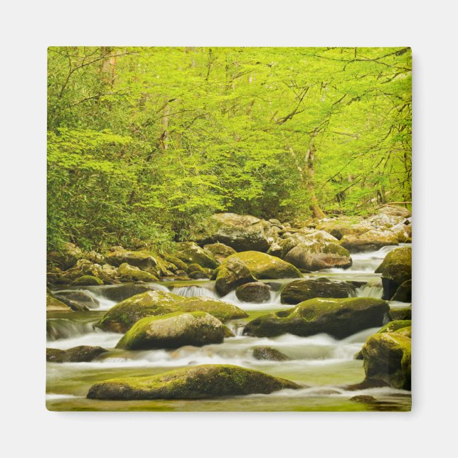 Roaring Fork om våren Magnet (Framsidan)