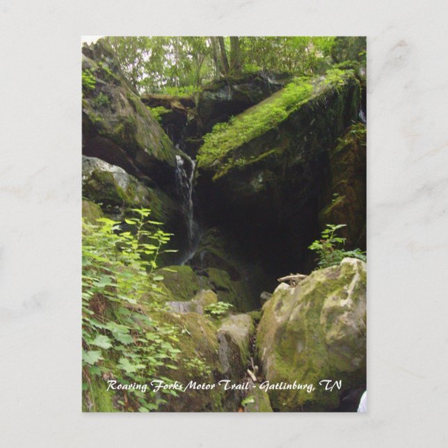 Roaring Forks Motor Trail - Gatlinburg, TN Vykort (Framsida)