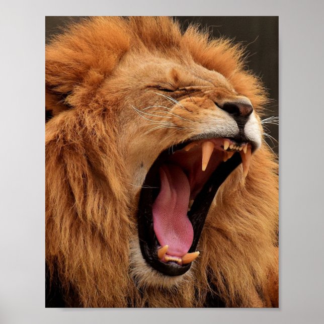 ROARING LEJON POSTER (Framsidan)