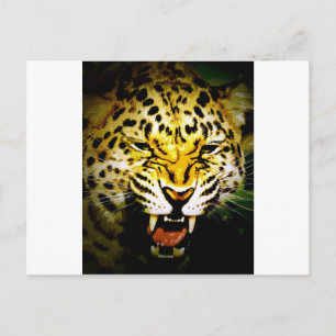 Roaring Leopard Vykort