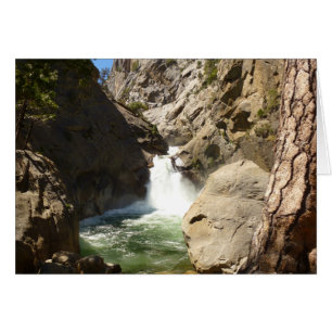 Roaring River Falls i Kings Canyon National Park Hälsningskort