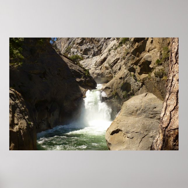 Roaring River Falls i Kings Canyon National Park Poster (Framsidan)