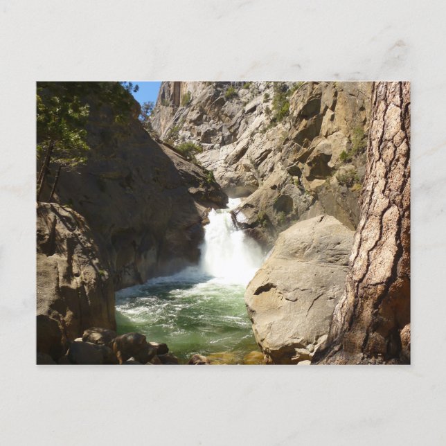 Roaring River Falls vid Kings Canyon National Park Vykort (Framsida)