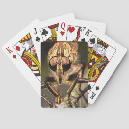 Robber Fly Profile Asildae Artistic Close Up Casinokort