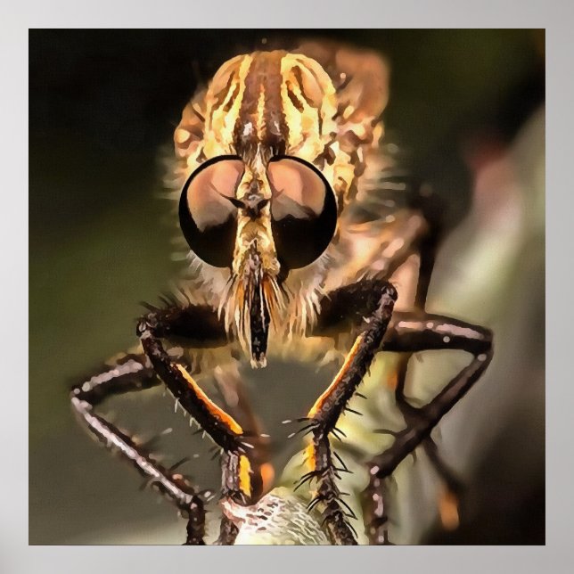 Robber Fly Profile Asildae Artistic Close Up Poster (Framsidan)