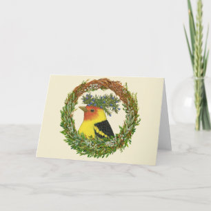 Robbie, westernt tanager-kort kort