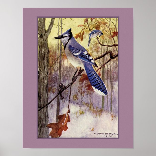 Robert Bruce Horsfall Blue Jay Faux Matte Poster (Framsidan)
