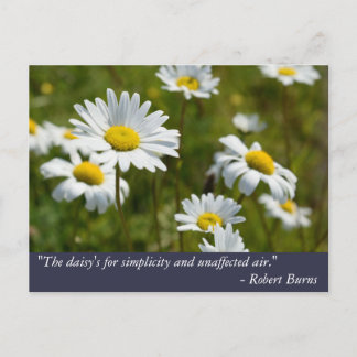 Robert Burns Daisy Quote Vykort