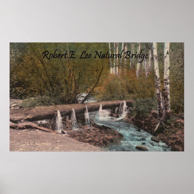 Robert E. Lee Natural Bridge Poster (Framsidan)