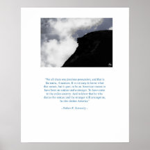 Robert F. Kennedy, Exile between USA Poster