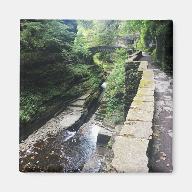 Robert h. treman State Park bridge Magnet (Framsidan)