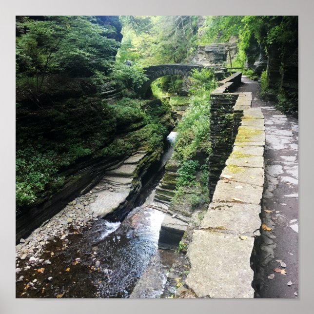 Robert h. treman State Park bridge Poster (Framsidan)