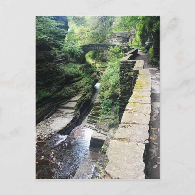 Robert h. treman State Park bridge Vykort (Framsida)