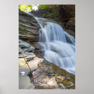 Robert H Treman State Park, NY Poster