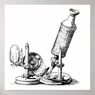 Robert Hookes mikroskop Poster