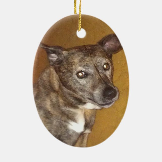 Robert Hoynes Tributeprydnad #6 Julgransprydnad Keramik (Baksidan)