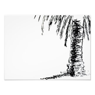 Roberts Träd Fototryck