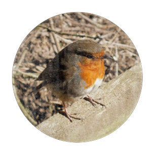ROBIN