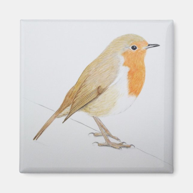 Robin 2011 magnet (Framsidan)