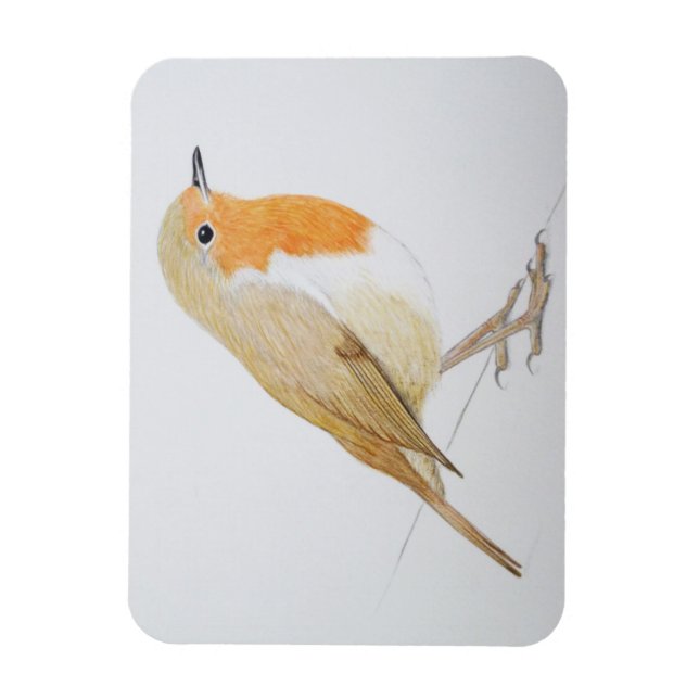 Robin 2011 magnet (Vertikal)