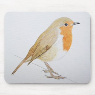 Robin 2011 musmatta