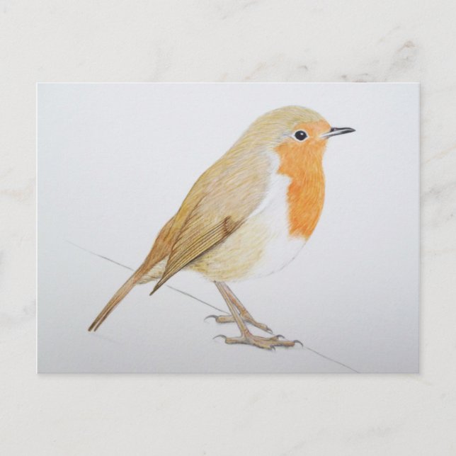 Robin 2011 vykort (Framsida)