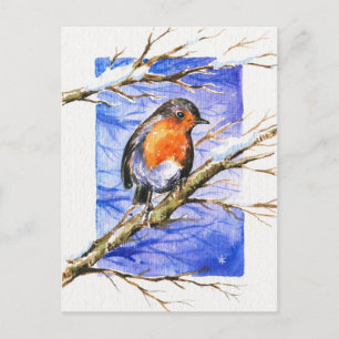 Robin 3 vykort