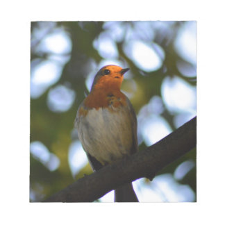 Robin Anteckningsblock